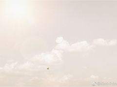 -黄色小屋