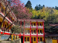 -东天目山风景区