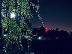 -大渡口区义渡公园