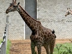 -石家庄市动物园