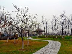 -白塘生态植物园