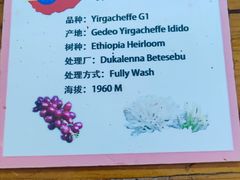 -参差咖啡(水果湖公园店)