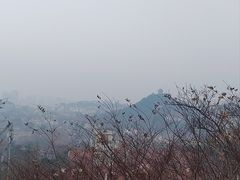 -青岛海滨风景区小鱼山