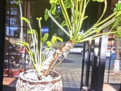 -泰·菩提树下[泰式按摩x精油SPAx肩颈头疗](新景店)