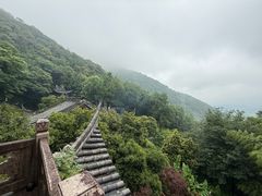 -韬光茶庵