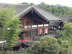 -大唐贡茶院