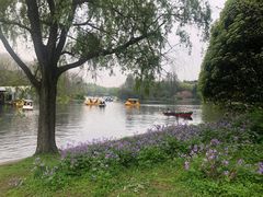 -上海共青森林公园