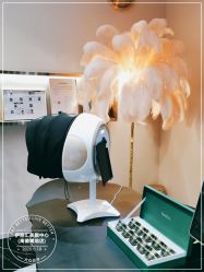 点击看大图 -伊丽汇