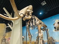 -国家自然博物馆