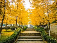 -四川大学(望江校区)