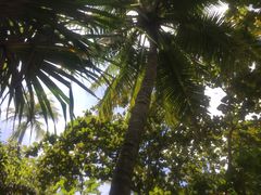 -三亚珠江南田温泉度假区