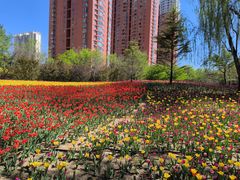 -迎泽公园