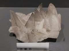 -重庆自然博物馆(新馆)