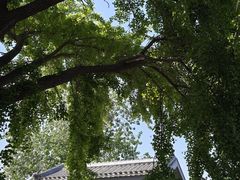 -自如ZSPACE四合院艺术餐厅