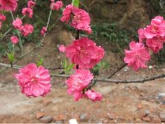 -常德桃花源景区