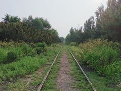 -永定河休闲森林公园