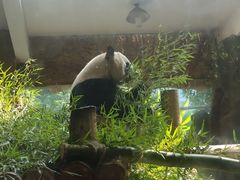 -常州淹城野生动物世界