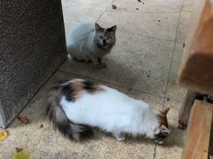 -龙达温泉生态城