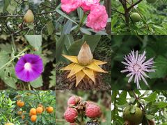 -舒家湾天主教堂