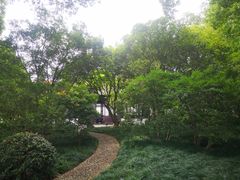-上海醉白池公园