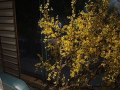 -上足·影院足道·SPA(红岭店)