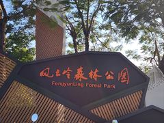 -风云岭森林公园