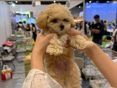-南宁国际会展中心