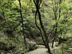 -藏龙百瀑风景区