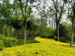 -迎泽公园