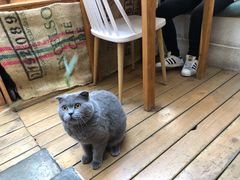 -拾壹cafe·工作室