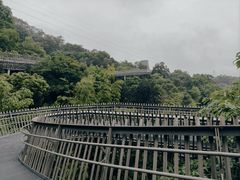 -福道