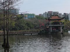 -深圳龙潭公园