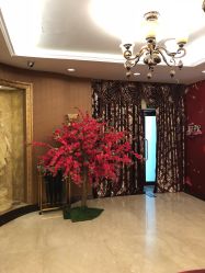 -西安伊美尔医疗美容医院