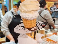 -极拉图·现制冰淇淋(大卫城店)