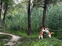 -北京奥林匹克公园