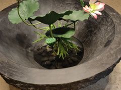 -采悦轩中餐厅·粤菜·海南菜(神州半岛喜来登度假酒店)