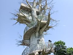 -芒洲湿地公园