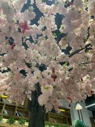 -简影造型·自选烫染接发salon