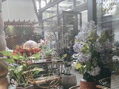 -Golden Lily河内巴黎法越料理餐厅(建国西路店)