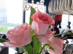 -Kathleen's Waitan 凯圣琳江景西餐厅(外滩店)