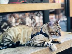 -Peet's 皮爷咖啡(东湖路手作店)