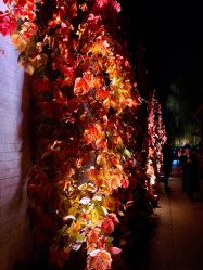 -颐和宾馆宴会厅