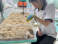 -怪兽屋·羊驼·猫咖·狗咖(俊华广场店)