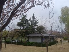 -渭滨公园