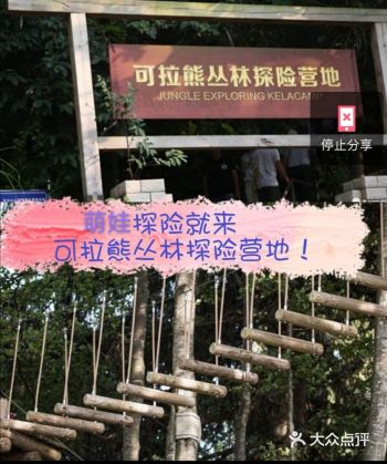带娃探险就来可拉熊丛林探险营地！