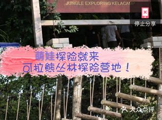 带娃探险就来可拉熊丛林探险营地！