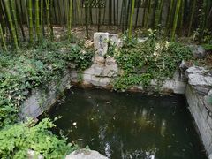 -趵突泉景区