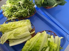 -杨记山珍鸡煲菌汤锅