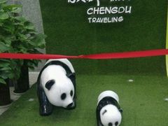 -成都天府丽都喜来登饭店