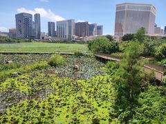 -龙环葡韵住宅式博物馆